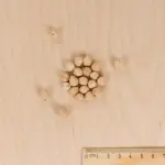 Légumes Secs - Pois Chiche Twist - 10 m - Cuisine du Monde - MEDIA_3D